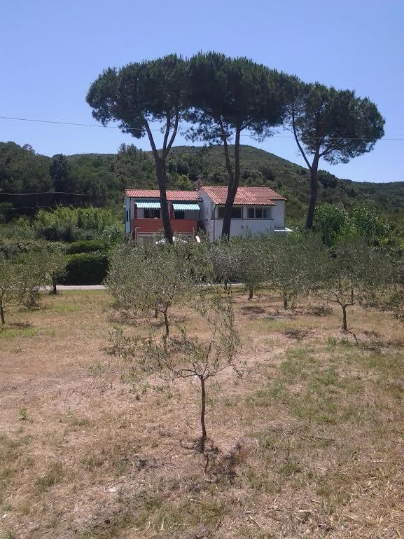 Hotel Rustichello Marina di Campo Buitenkant foto